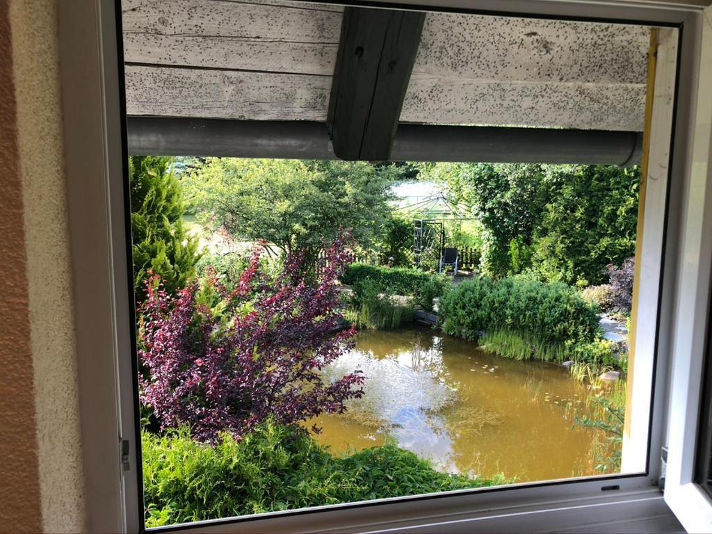Ferienwohnung Zündholz Benneckenstein Exterior foto